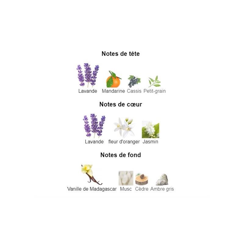 Libre Yves Saint Laurent - Extrait de Parfum pour Femme