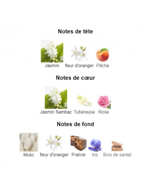 Wind Flowers Creed - Extrait de Parfum pour Femme