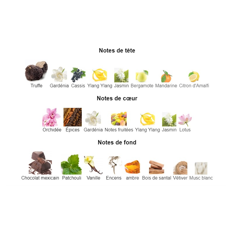 Black Orchid Tom Ford - Extrait de Parfum pour Femme