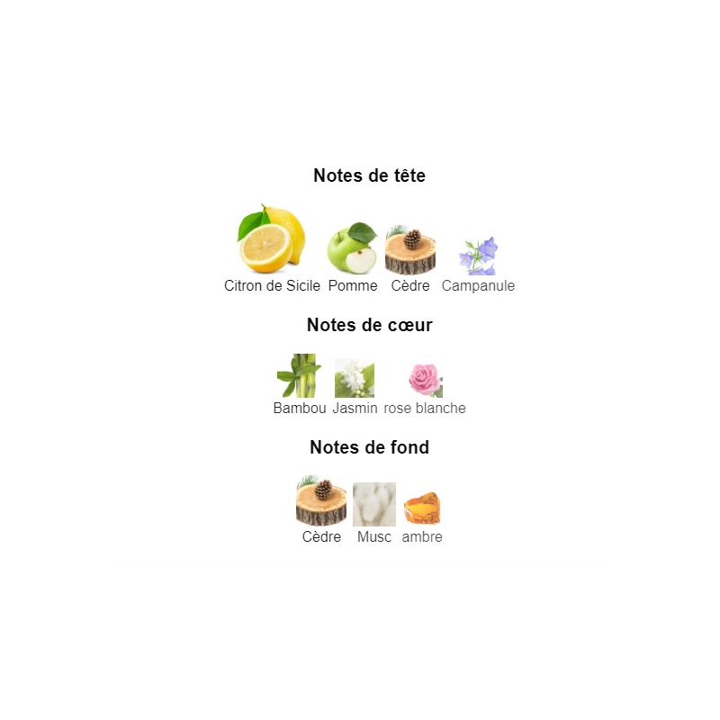 Light Blue Dolce&Gabbana - Extrait de Parfum pour Femme