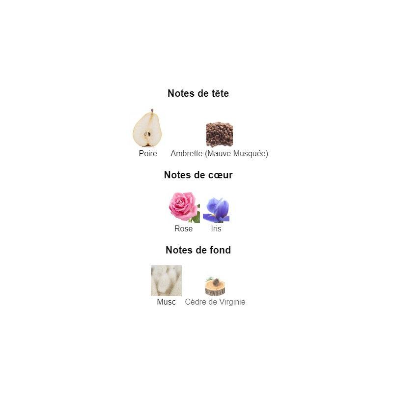 Irrésistible Givenchy Givenchy - Extrait de Parfum pour Femme