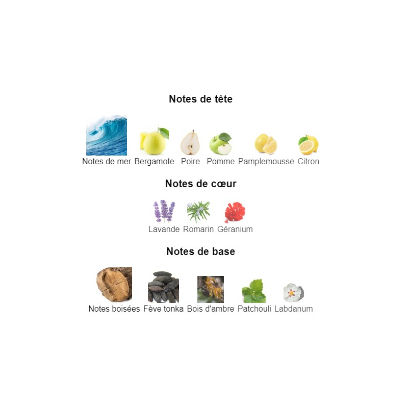 Acqua di Giò Absolu Giorgio Armani - Extrait de Parfum pour Homme