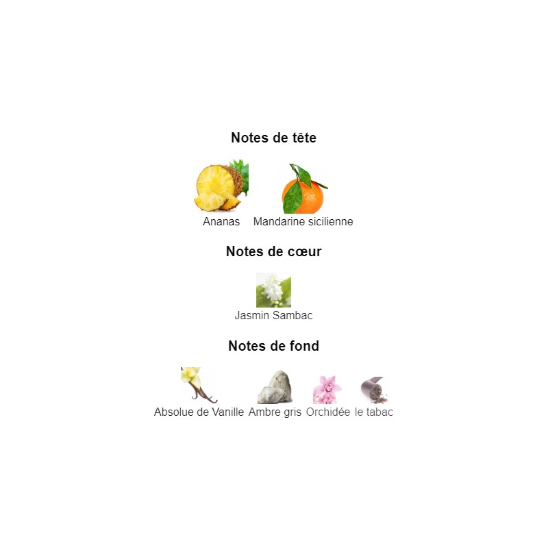 Pineapple Dolce&Gabbana - Extrait de Parfum pour Homme et Femme