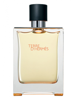 Terre d'Hermès Hermès - Extrait de Parfum pour Homme