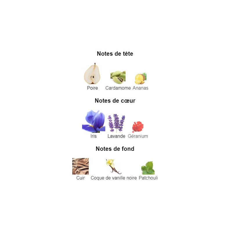 Gentleman Givenchy - Extrait de Parfum pour Homme