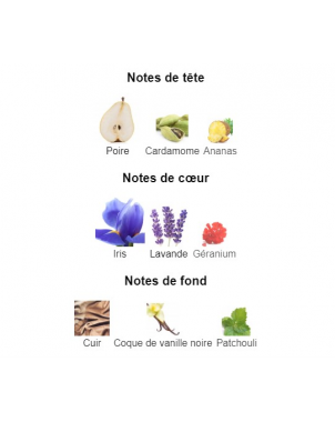 Gentleman Givenchy - Extrait de Parfum pour Homme