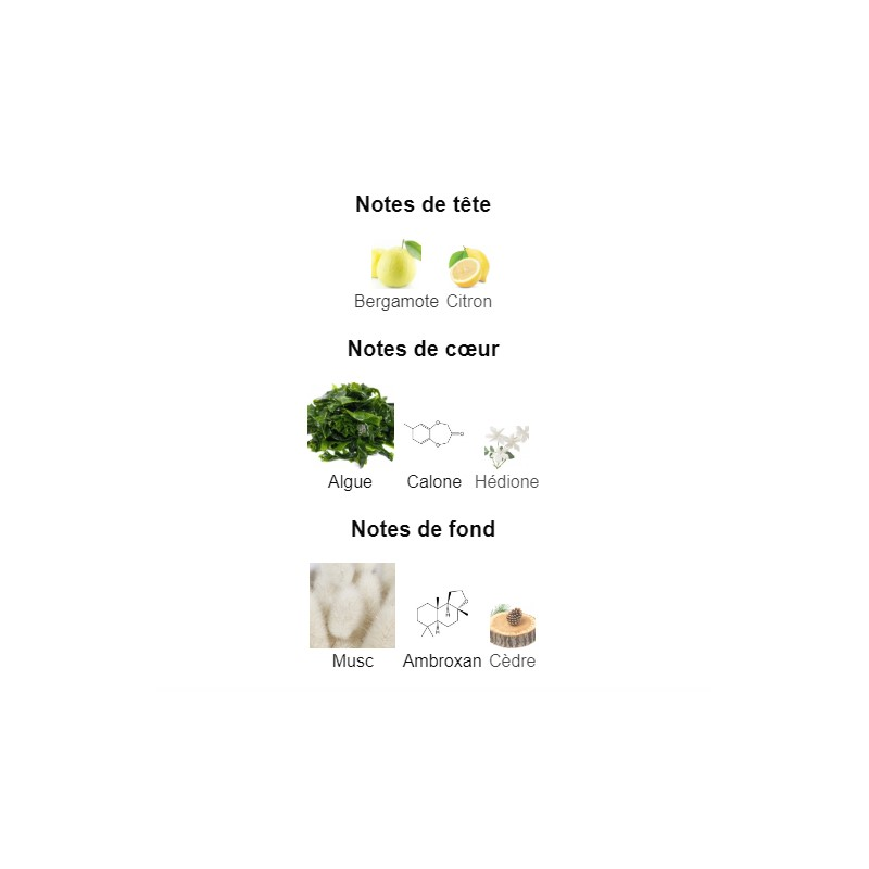 Megamare Orto Parisi - Extrait de Parfum pour Homme et Femme