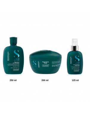 Pack Reparative Alfaparf Semi di Lino : Shampoing 250ml Masque 200ml Anti Breakerage Fluid 125ml