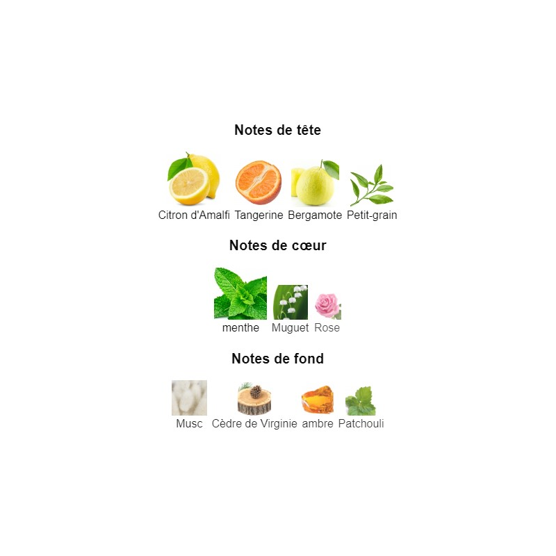 XJ 1861 Renaissance Xerjoff - Extrait de Parfum pour Homme et Femme