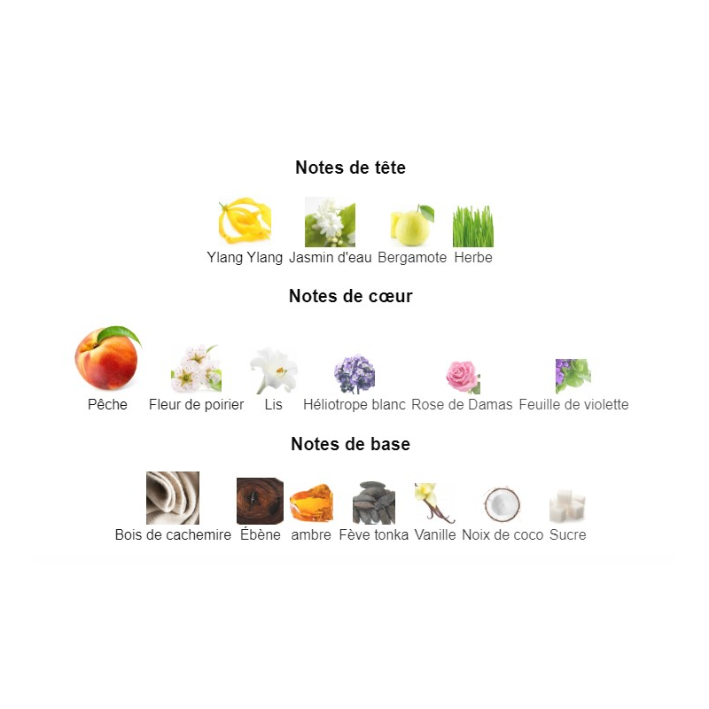 Andromeda Tiziana Terenzi - Extrait de Parfum pour Homme et Femme