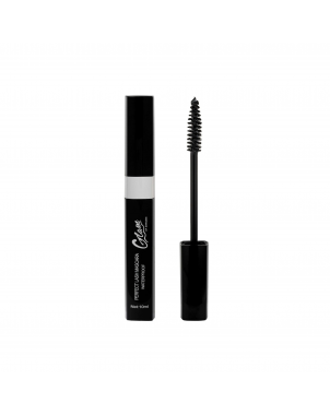 Perfect Lash Mascara Waterproof 10ml Glam of Sweden