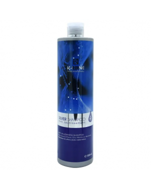 Silver Shampoing 500ml Shampoing pour Cheveux Colorés avec Mèches K-Reine