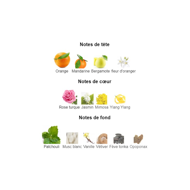 Coco Mademoiselle Chanel - Extrait de Parfum pour Femme