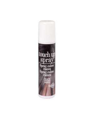 Touch Up Spray Retouche Coloration Cheveux 75ml Noir Couverture Temporaire des Cheveux Gris