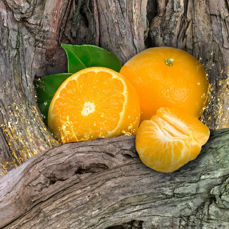 Axe Déodorant Africa 150ml Déodorant Homme 48h Non Stop Fresh