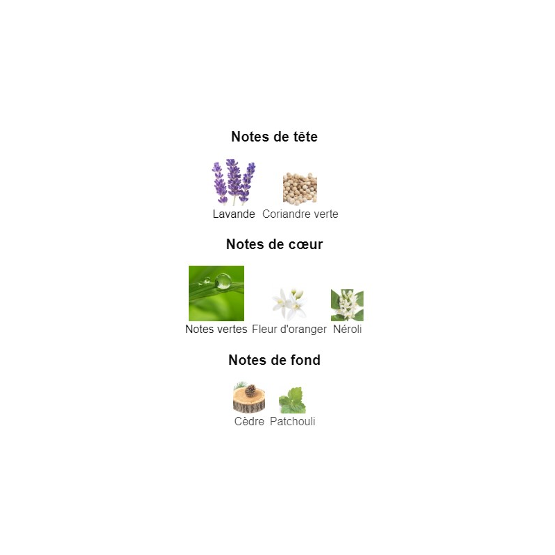 Gucci Guilty Black Gucci - Extrait de Parfum pour Homme