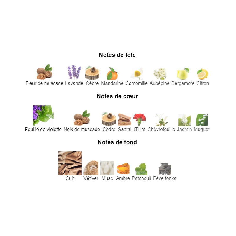 Fahrenheit Dior - Extrait de Parfum pour Homme