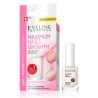 Eveline Maximum Nails Growth 12ml Soins Accélérateur de Croissance Maximale des Ongles Nail Therapy
