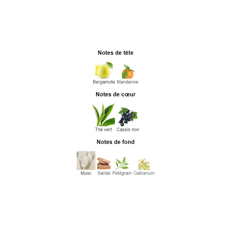 Silver Mountain Water Creed - Extrait de Parfum pour Femme et Homme