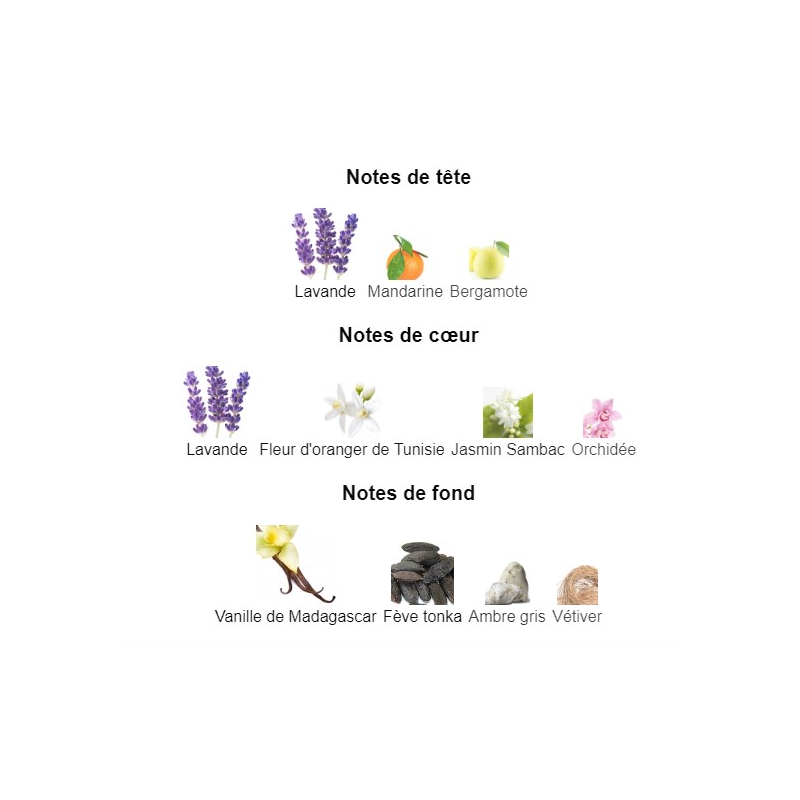 Libre Intense Yves Saint Laurent - Extrait de Parfum pour Femme