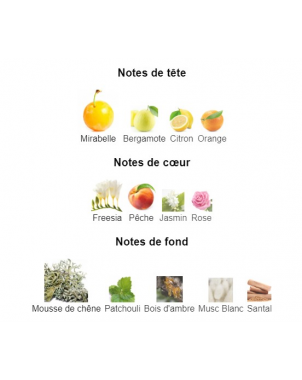 Nomade Chloé - Extrait de Parfum pour Femme