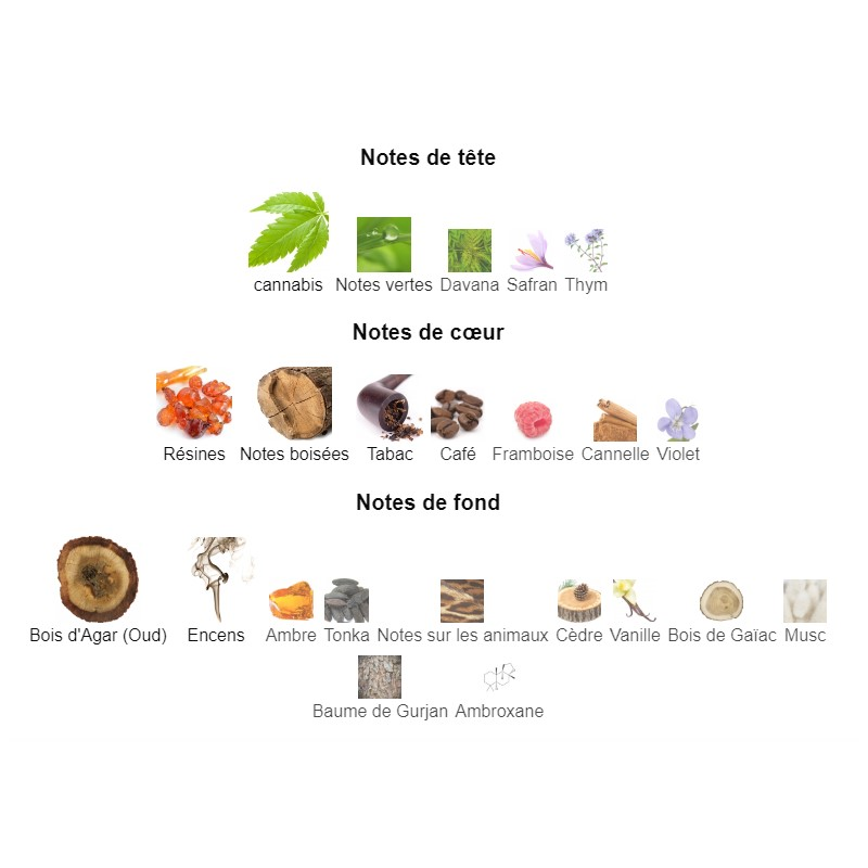 Black Afgano Nasomatto - Extrait de Parfum pour Femme et Homme