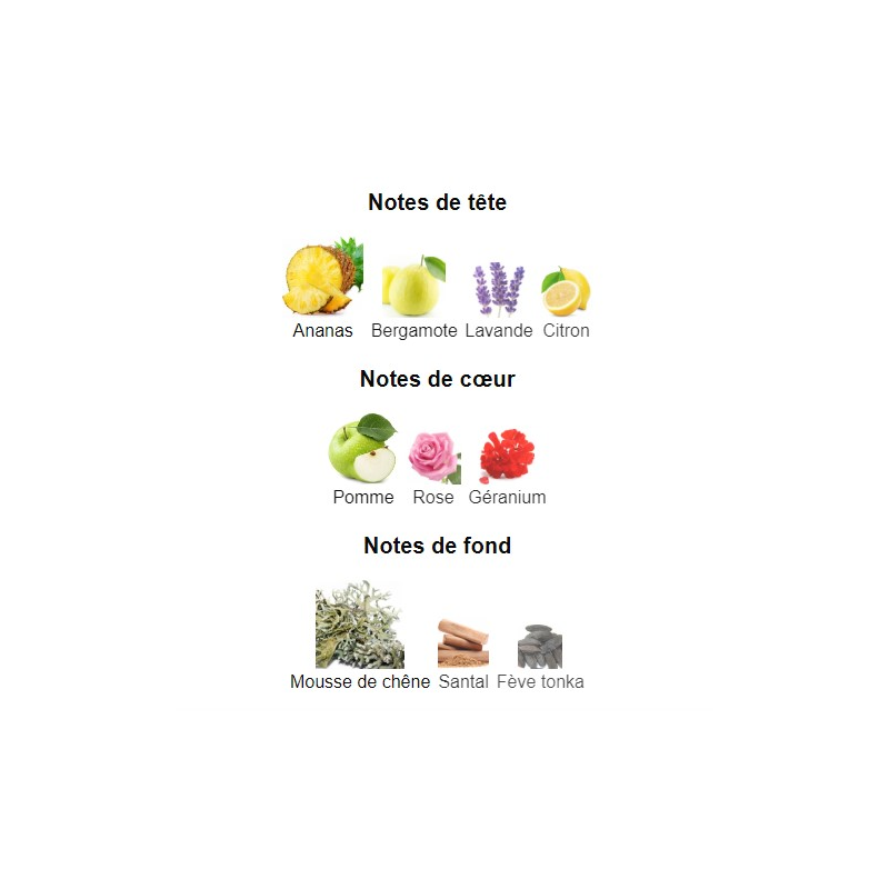 Trophy Beverly Hills Polo Club - Eau de Parfum pour Homme 100ml