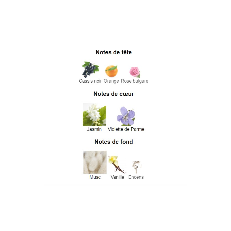 Elegance Beverly Hills Polo Club - Eau de Parfum pour Femme 100ml