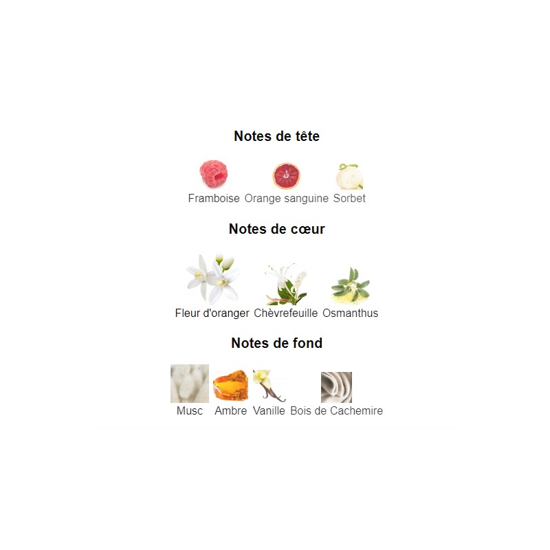 Sport 9 Beverly Hills Polo Club - Eau de Parfum pour Femme 100ml