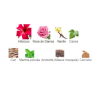 Hibiscus Mahajád Maison Crivelli - Extrait de Parfum pour Femme et Homme