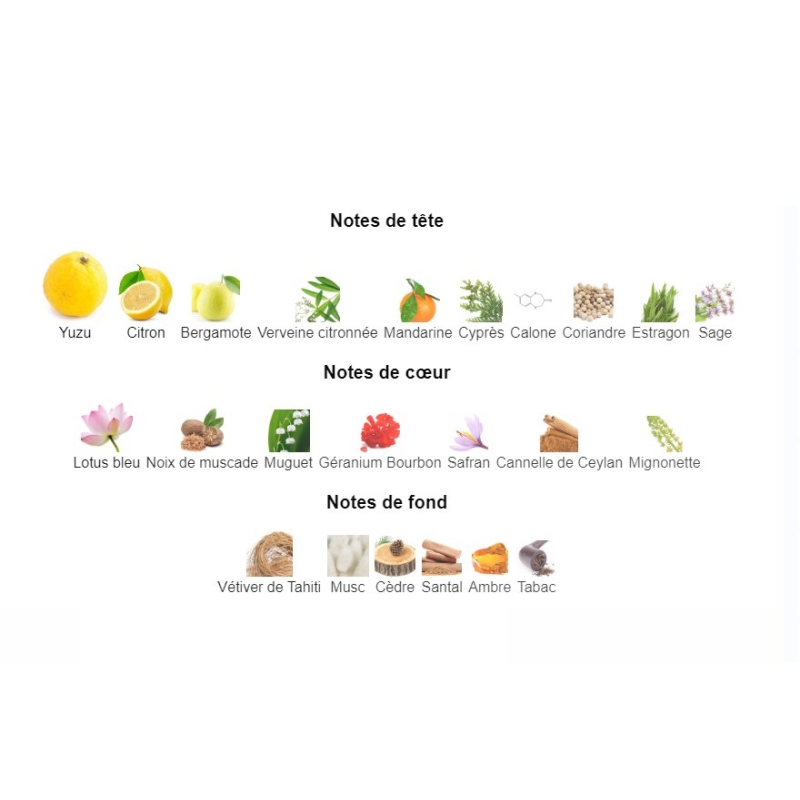 L'Eau d'Issey - Extrait de Parfum pour Homme