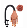 Mannequin Ongles Mains Complet Formation Onglerie