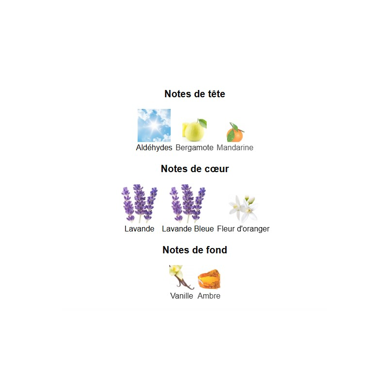 Libre L'Absolu Platine Yves Saint Laurent - Extrait de Parfum pour Femme