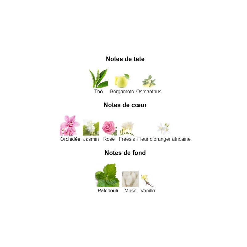 Flowerbomb Viktor&Rolf - Extrait de Parfum pour Femme