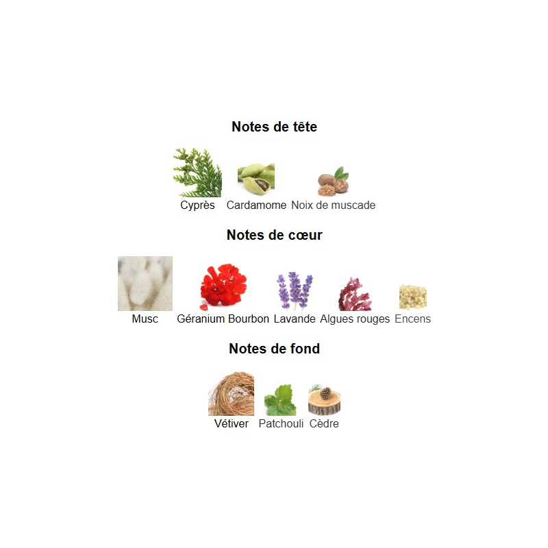 For Him Vetiver Musc Narciso Rodriguez - Extrait de Parfum pour Homme