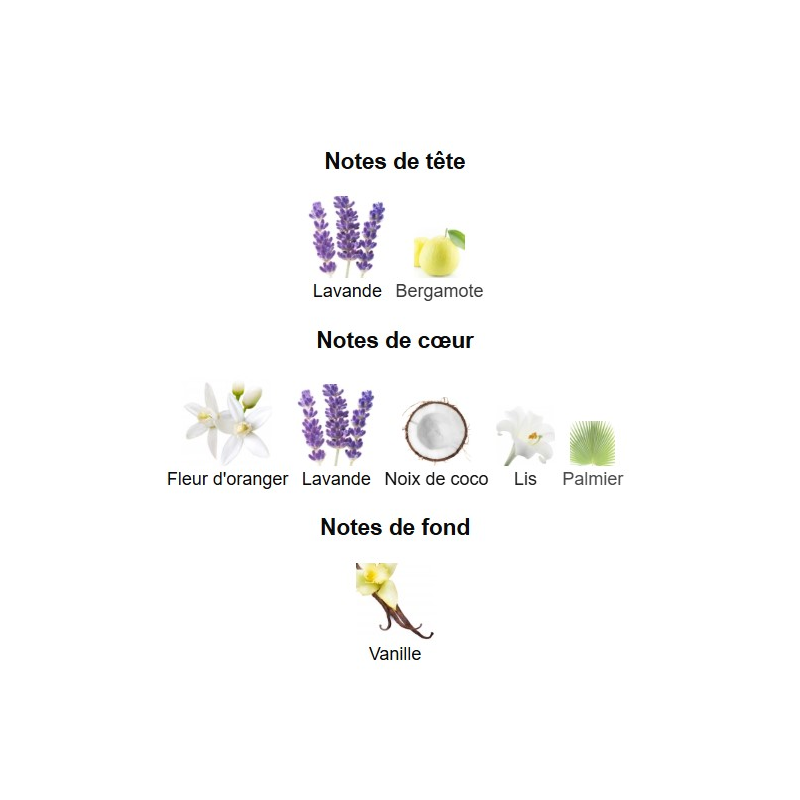 Libre Flowers & Flames Yves Saint Laurent - Extrait de Parfum pour Femme