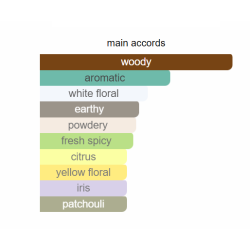 Mouj Affection Eau de Parfum – Parfum Unisexe Floral Boisé Musqué à la Signature Douce et Émotionnelle (100 ml)