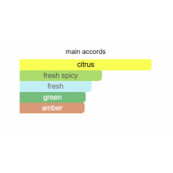 Intimation Eau de Parfum 100ML Intimation Eau de Parfum 100ML