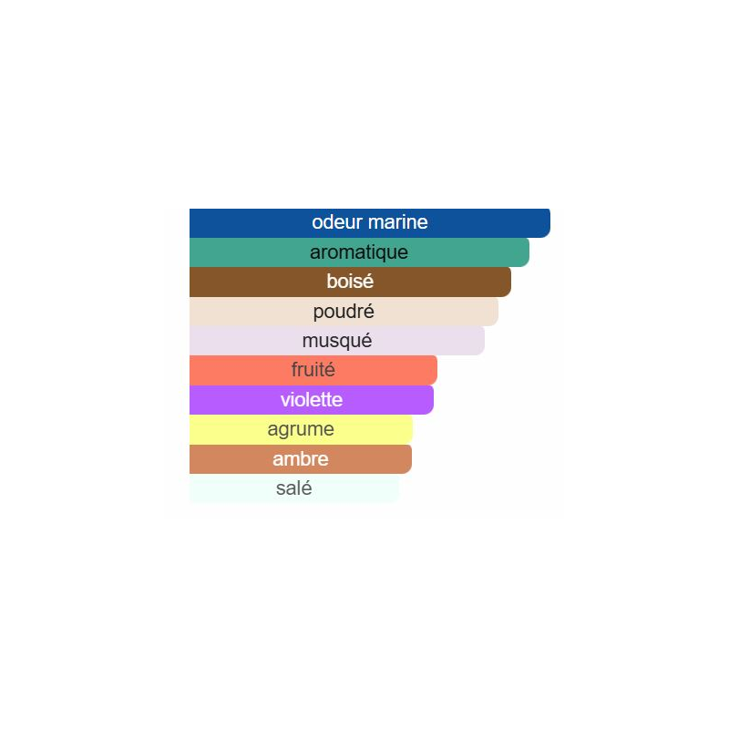 Armaf Club de Nuit Milestone Eau de Parfum 100ML – Mixte | Boisé Floral Musqué