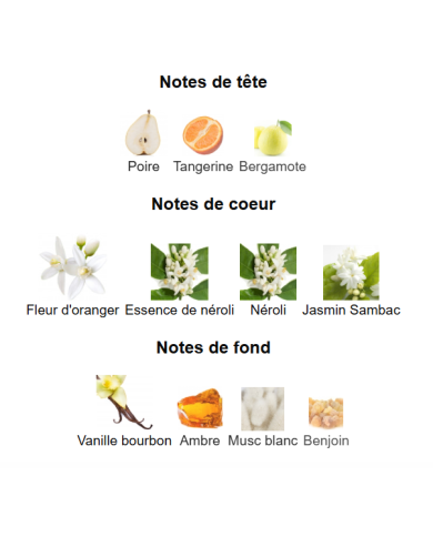 Prada Paradoxe – Extrait de Parfum pour Femme