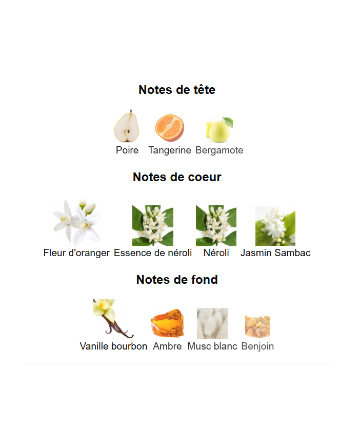 Prada Paradoxe – Extrait de Parfum pour Femme