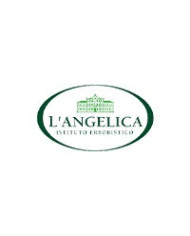 L'Angelica – Soins capillaires et corporels naturels